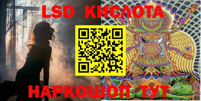 эйфоретик Славгород