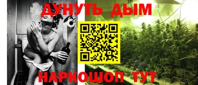 эйфоретик Славгород