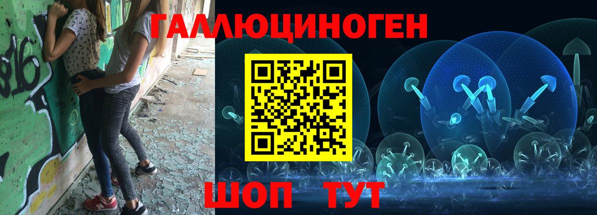 Псилоцибиновые грибы GOLDEN TEACHER  Вход с VPN  Павлово  Псилоцибиновые грибы мухоморы 